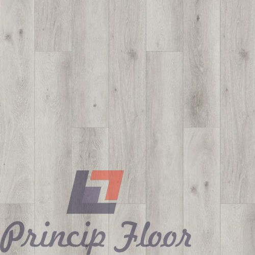 ����������� ��� SPC Strong Step Expert ������ ���� 2