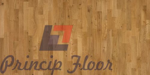 ������ Focus Floor Classic 3S OAK KHAMSIN LACQUERED ��� ���� 2