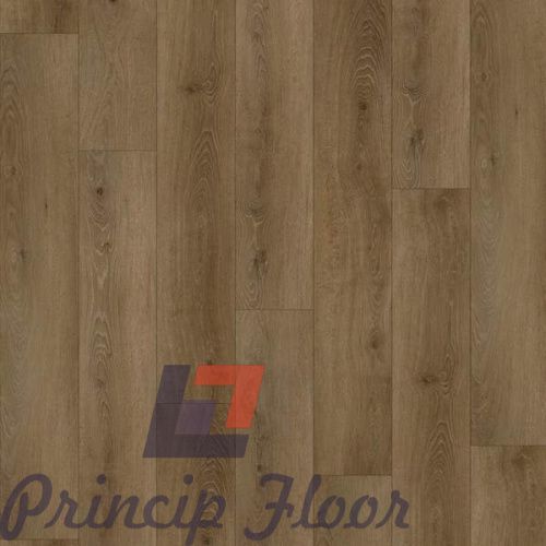 ����������� ��� SPC Strong Step Comfort ������ ���� 2