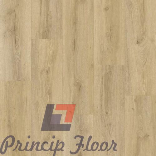 ����������� ��� SPC Strong Step Expert ������ ���� 2