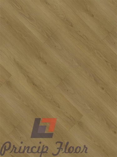 ����������� ��� SPC �������� �������� Plank ������� ���� 6