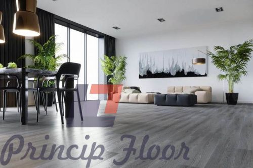����������� ��� SPC Fargo Comfort ��� ������ ����� ���� 2