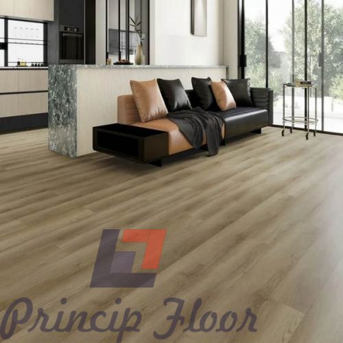 ����������� ��� SPC Strong Step Expert XXL �����