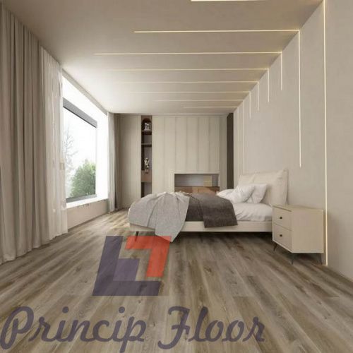 ����������� ��� SPC Strong Step Expert �����