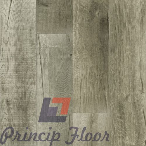 ����������� ��� SPC Fargo Comfort ��� ����� ���� 4