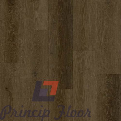 ����������� ��� SPC Strong Step Expert XXL �������� ���� 2