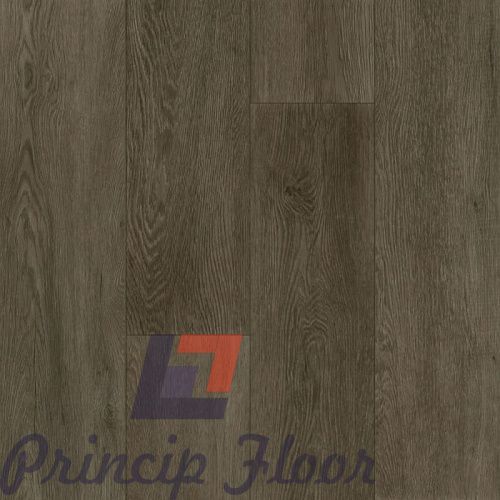 ����������� ��� SPC Fargo Bevel ��� �������
