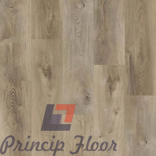 ����������� ��� SPC Strong Step Expert ����� ���� 2