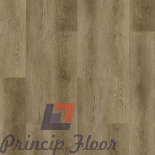 ����������� ��� SPC Strong Step Expert XXL ����� ���� 2