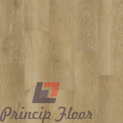 ����������� ��� SPC Strong Step Expert XXL ����� ���� 2