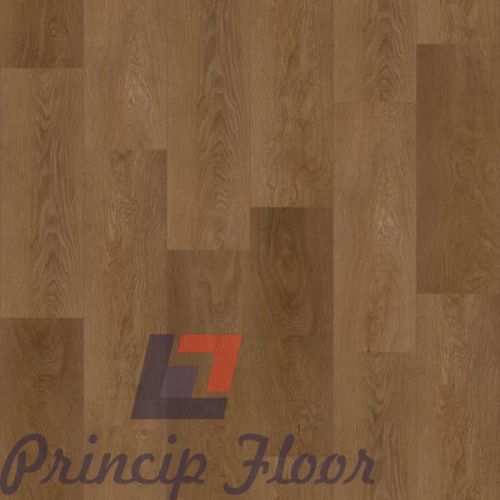 ����������� ��� SPC Strong Step Expert ������� ���� 2