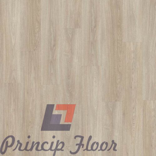 ����������� ��� RIGIT Moduleo Next Noble Oak 236 ���� 4