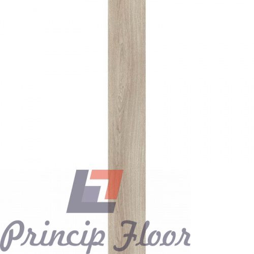 ����������� ��� RIGIT Moduleo Next Noble Oak 236 ���� 2