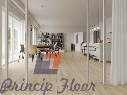 ����������� ��� SPC Evo Floor Home ��� ����� ���� 2