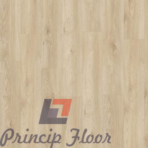 ����������� ��� RIGIT Moduleo Next Torre Oak 248 ���� 4