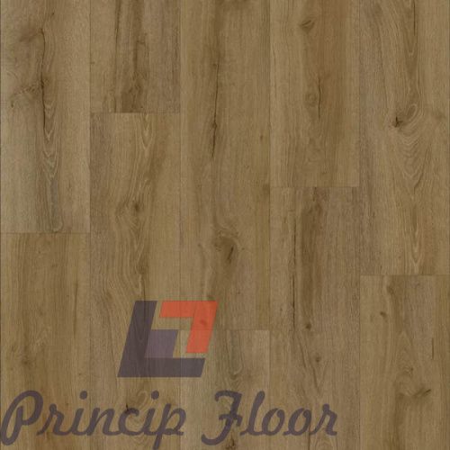 ����������� ��� SPC Strong Step Expert ���� ���� 2
