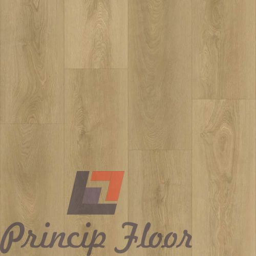 ����������� ��� SPC Strong Step Expert XXL ������ ���� 2