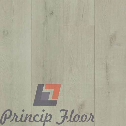 ����������� ��� SPC Fargo Bevel ��� ���������� �����