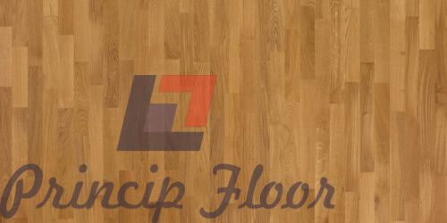 ������ Focus Floor Classic 3S OAK LEVANTE ��� ���� 2