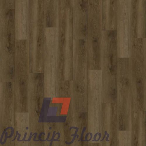 ����������� ��� SPC Strong Step Expert ����� ���� 2