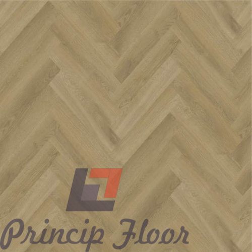 ����������� ��� SPC Strong Step Ideal ���� ���� 2