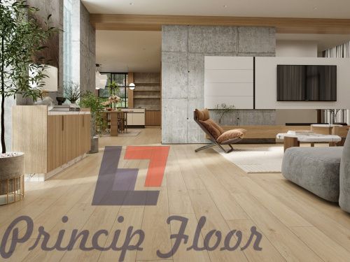 ����������� ��� SPC Evo Floor Home ����� ������� ���� 3