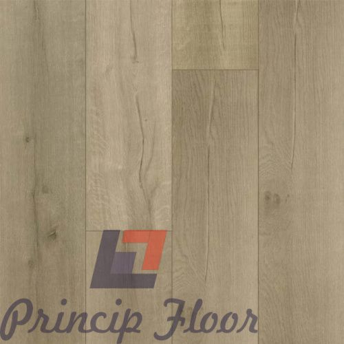 ����������� ��� SPC Fargo Bevel ��� ��������